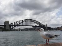 Sydney &ndash; &copy; Benjamin Rodriguez Manzanares (Eberhardt TRAVEL)