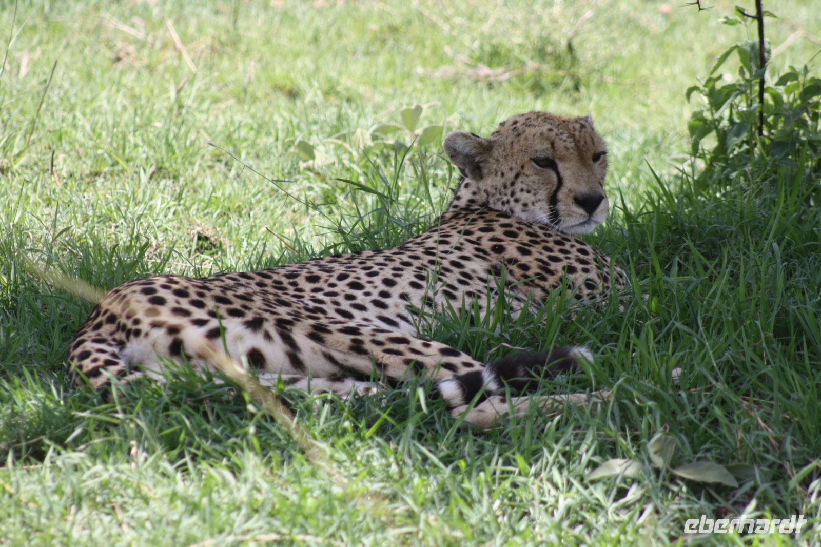 IMG 2763 &ndash; &copy; Philip Seidel (Eberhardt TRAVEL)