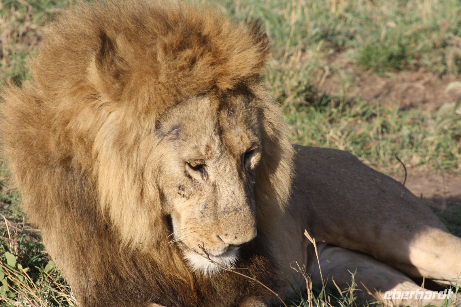 IMG 2947 &ndash; &copy; Philip Seidel (Eberhardt TRAVEL)