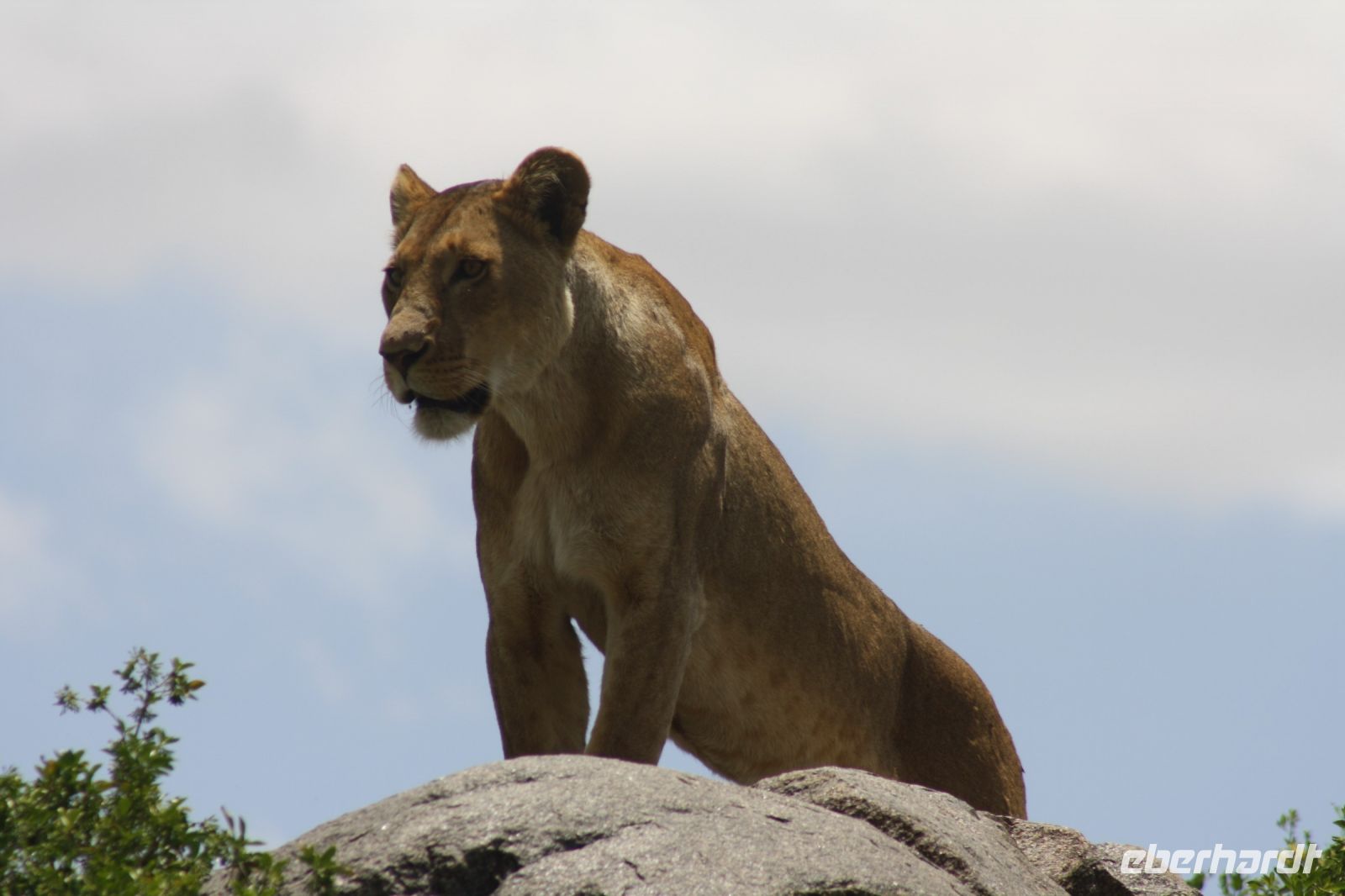 IMG 3061 &ndash; &copy; Philip Seidel (Eberhardt TRAVEL)