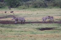 IMG 1153 &ndash; &copy; Philip Seidel (Eberhardt TRAVEL)