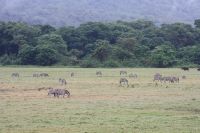 IMG 1158 &ndash; &copy; Philip Seidel (Eberhardt TRAVEL)
