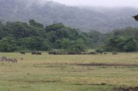 IMG 1159 &ndash; &copy; Philip Seidel (Eberhardt TRAVEL)