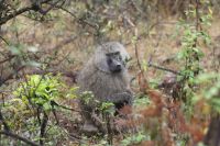 IMG 1180 &ndash; &copy; Philip Seidel (Eberhardt TRAVEL)