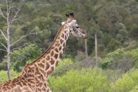 IMG 1205 &ndash; &copy; Philip Seidel (Eberhardt TRAVEL)