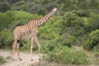 IMG 1209 &ndash; &copy; Philip Seidel (Eberhardt TRAVEL)