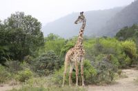 IMG 1214 &ndash; &copy; Philip Seidel (Eberhardt TRAVEL)
