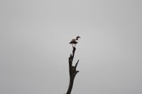IMG 1222 &ndash; &copy; Philip Seidel (Eberhardt TRAVEL)