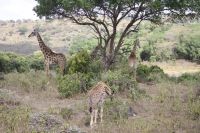 IMG 1264 &ndash; &copy; Philip Seidel (Eberhardt TRAVEL)