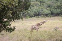 IMG 1267 &ndash; &copy; Philip Seidel (Eberhardt TRAVEL)