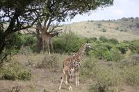 IMG 1270 &ndash; &copy; Philip Seidel (Eberhardt TRAVEL)