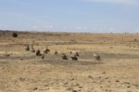 IMG 1370 &ndash; &copy; Philip Seidel (Eberhardt TRAVEL)