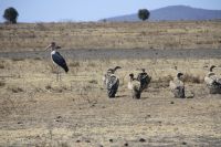 IMG 1371 &ndash; &copy; Philip Seidel (Eberhardt TRAVEL)