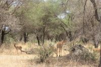 IMG 1379 &ndash; &copy; Philip Seidel (Eberhardt TRAVEL)
