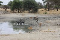 IMG 1383 &ndash; &copy; Philip Seidel (Eberhardt TRAVEL)
