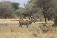 IMG 1402 &ndash; &copy; Philip Seidel (Eberhardt TRAVEL)