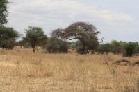 IMG 1408 &ndash; &copy; Philip Seidel (Eberhardt TRAVEL)