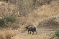 IMG 1415 &ndash; &copy; Philip Seidel (Eberhardt TRAVEL)