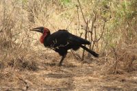 IMG 1421 &ndash; &copy; Philip Seidel (Eberhardt TRAVEL)