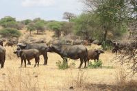 IMG 1422 &ndash; &copy; Philip Seidel (Eberhardt TRAVEL)