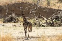 IMG 1439 &ndash; &copy; Philip Seidel (Eberhardt TRAVEL)