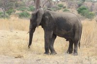 IMG 1440 &ndash; &copy; Philip Seidel (Eberhardt TRAVEL)