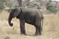IMG 1448 &ndash; &copy; Philip Seidel (Eberhardt TRAVEL)