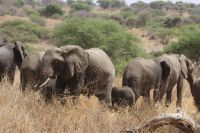 IMG 1459 &ndash; &copy; Philip Seidel (Eberhardt TRAVEL)
