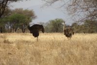 IMG 1470 &ndash; &copy; Philip Seidel (Eberhardt TRAVEL)