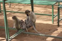 IMG 1483 &ndash; &copy; Philip Seidel (Eberhardt TRAVEL)