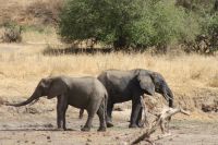 IMG 1503 &ndash; &copy; Philip Seidel (Eberhardt TRAVEL)