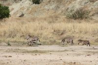 IMG 1504 &ndash; &copy; Philip Seidel (Eberhardt TRAVEL)