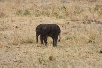 IMG 1540 &ndash; &copy; Philip Seidel (Eberhardt TRAVEL)