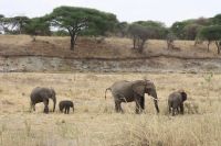 IMG 1543 &ndash; &copy; Philip Seidel (Eberhardt TRAVEL)