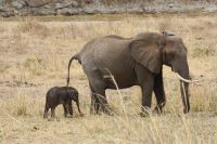 IMG 1545 &ndash; &copy; Philip Seidel (Eberhardt TRAVEL)