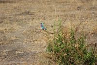 IMG 1576 &ndash; &copy; Philip Seidel (Eberhardt TRAVEL)