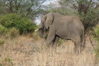 IMG 1579 &ndash; &copy; Philip Seidel (Eberhardt TRAVEL)