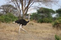 IMG 1581 &ndash; &copy; Philip Seidel (Eberhardt TRAVEL)