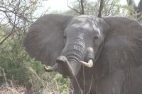 IMG 1620 &ndash; &copy; Philip Seidel (Eberhardt TRAVEL)