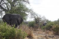 IMG 1628 &ndash; &copy; Philip Seidel (Eberhardt TRAVEL)