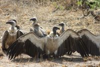 IMG 1638 &ndash; &copy; Philip Seidel (Eberhardt TRAVEL)