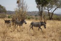 IMG 1644 &ndash; &copy; Philip Seidel (Eberhardt TRAVEL)