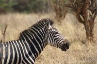 IMG 1647 &ndash; &copy; Philip Seidel (Eberhardt TRAVEL)