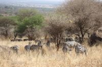 IMG 1656 &ndash; &copy; Philip Seidel (Eberhardt TRAVEL)