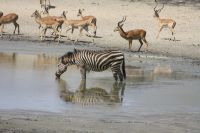 IMG 1665 &ndash; &copy; Philip Seidel (Eberhardt TRAVEL)