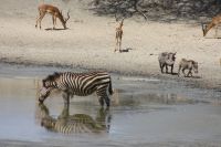 IMG 1667 &ndash; &copy; Philip Seidel (Eberhardt TRAVEL)