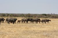 IMG 1671 &ndash; &copy; Philip Seidel (Eberhardt TRAVEL)