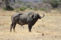IMG 1673 &ndash; &copy; Philip Seidel (Eberhardt TRAVEL)