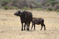 IMG 1676 &ndash; &copy; Philip Seidel (Eberhardt TRAVEL)