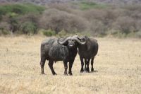 IMG 1678 &ndash; &copy; Philip Seidel (Eberhardt TRAVEL)